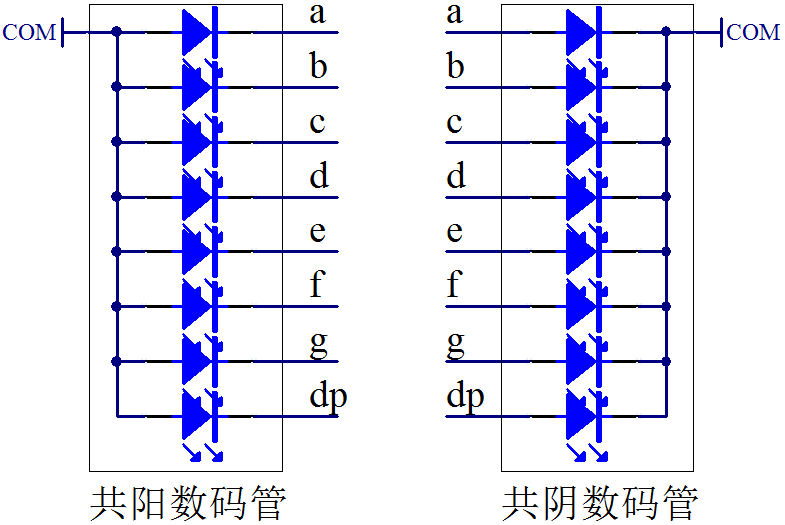 图5-3  数码管结构示意图